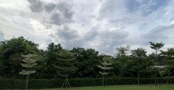 Caldecott Hill Estate (D11), Detached #609594901